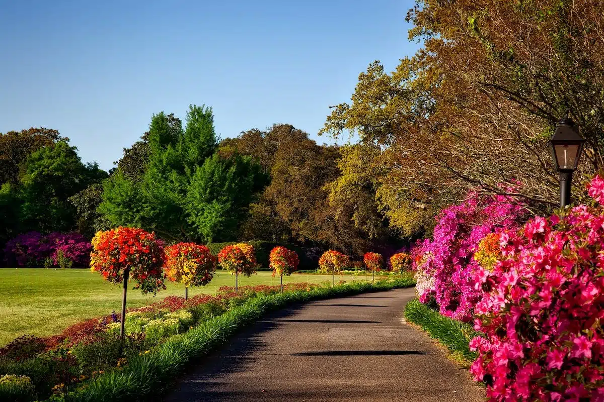 jardin aménagé