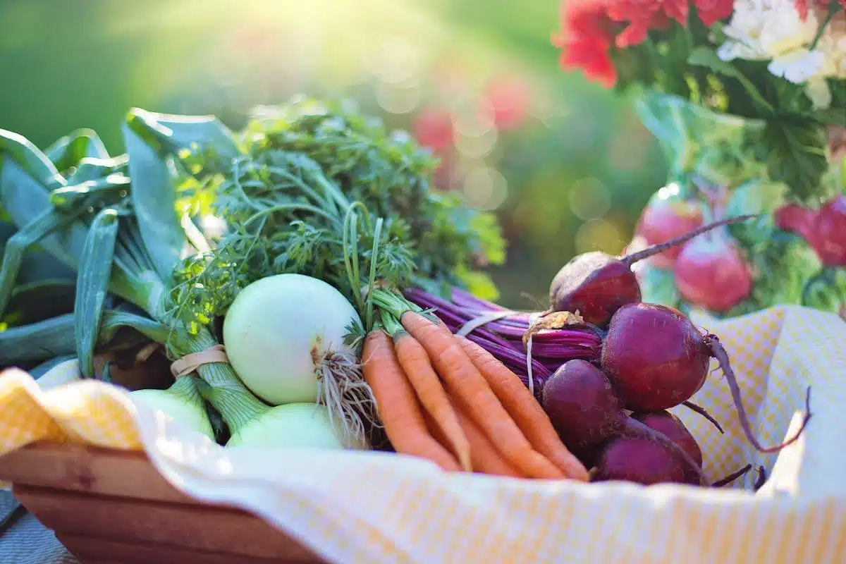 potager balcon