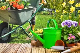 Comment créer un jardin écologique et résistant aux aléas climatiques