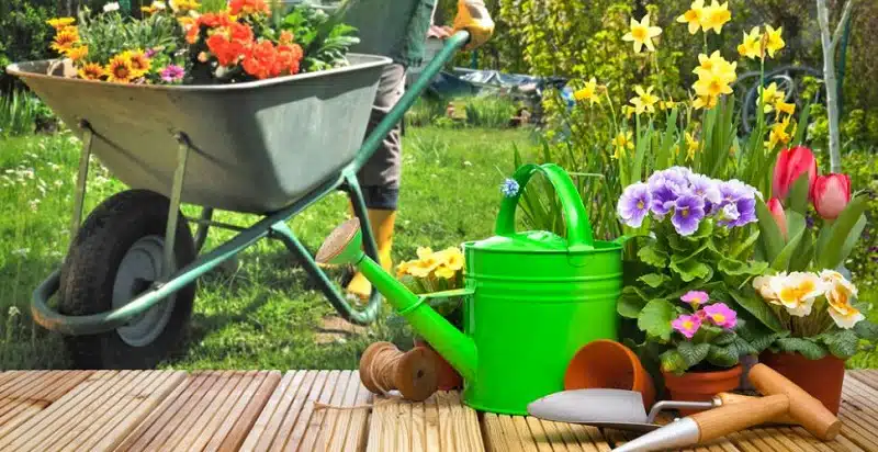 Comment créer un jardin écologique et résistant aux aléas climatiques